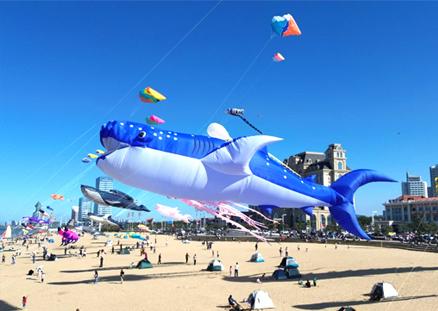 CompanyProfile 公司简介