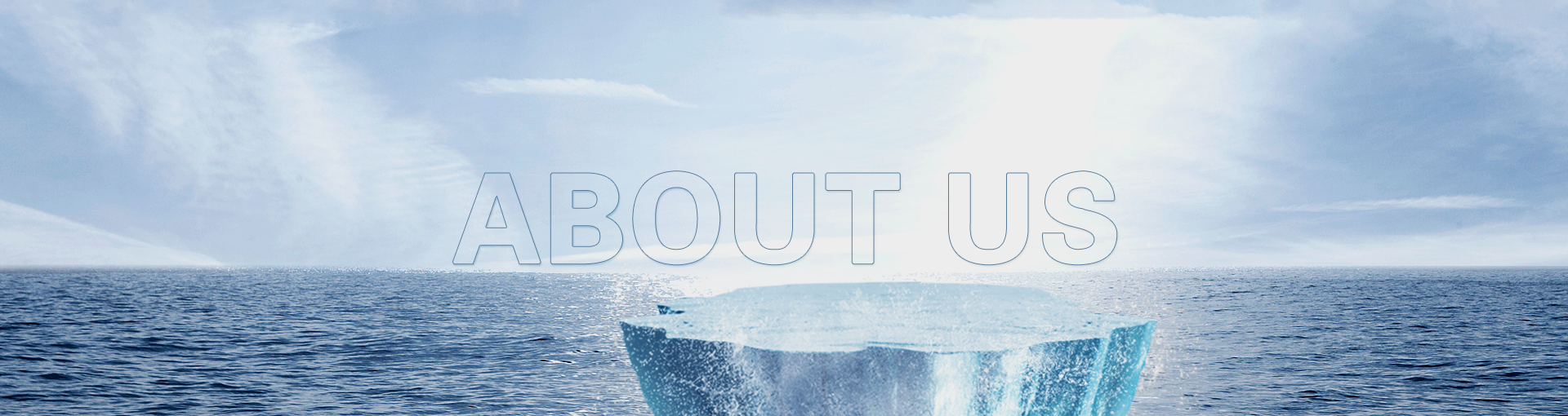 CompanyProfile 公司简介